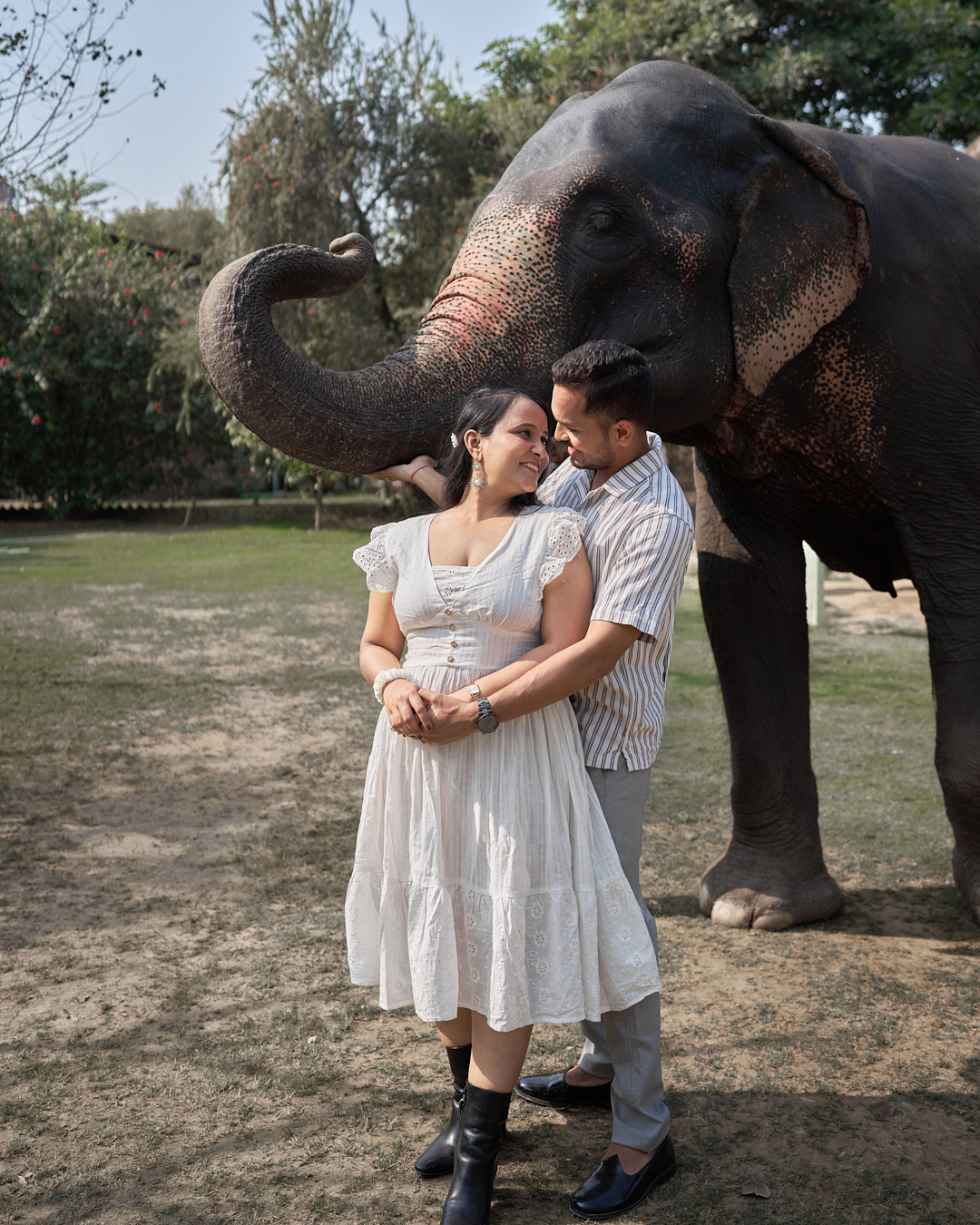Pre Wedding Shoot With Elephant